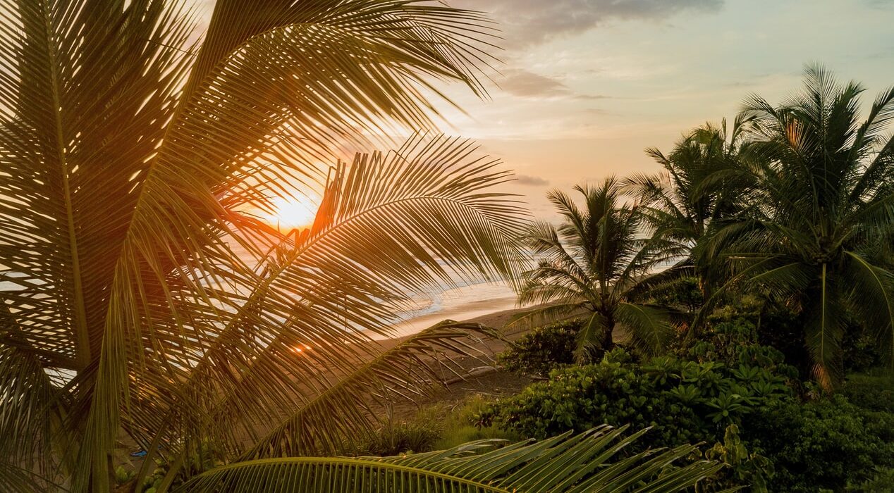 Costa-Rica-puerto-limon-zonsondergang-palmboom