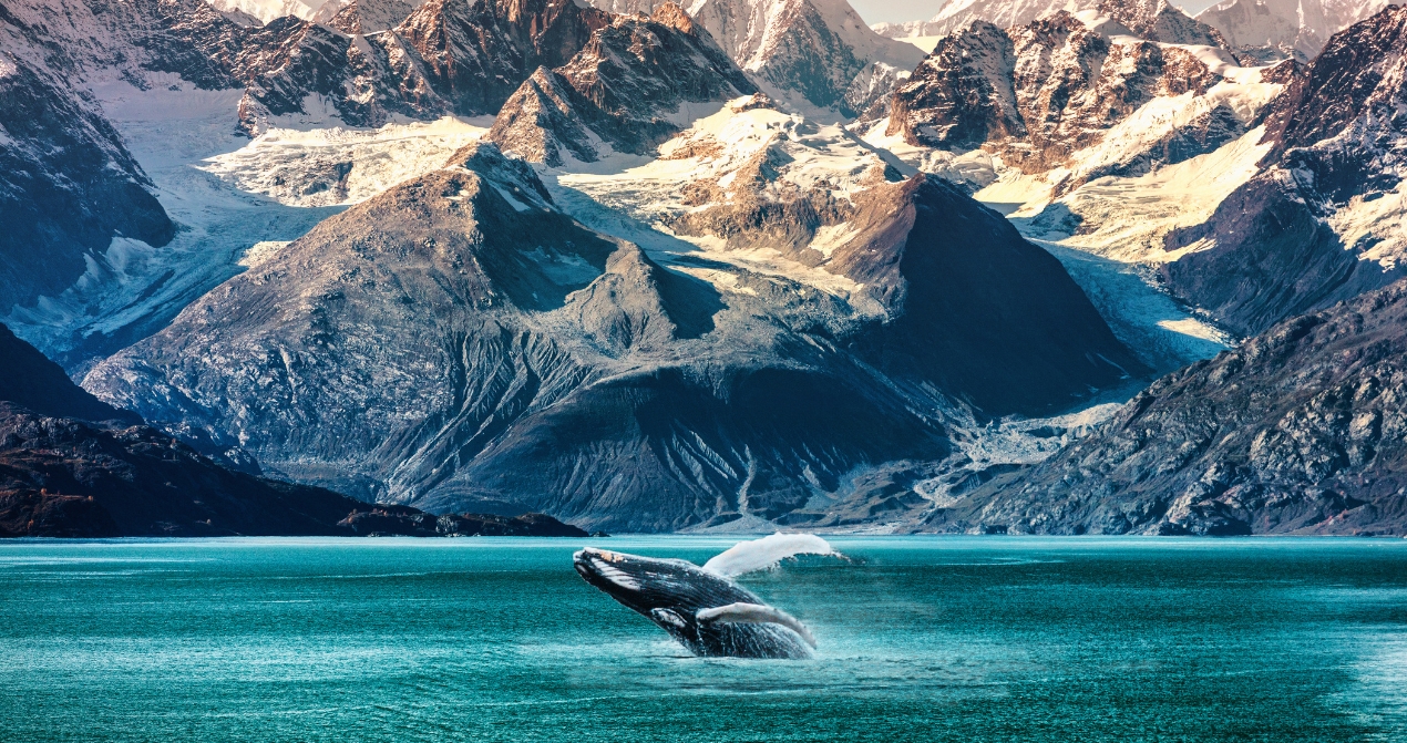 Alaska